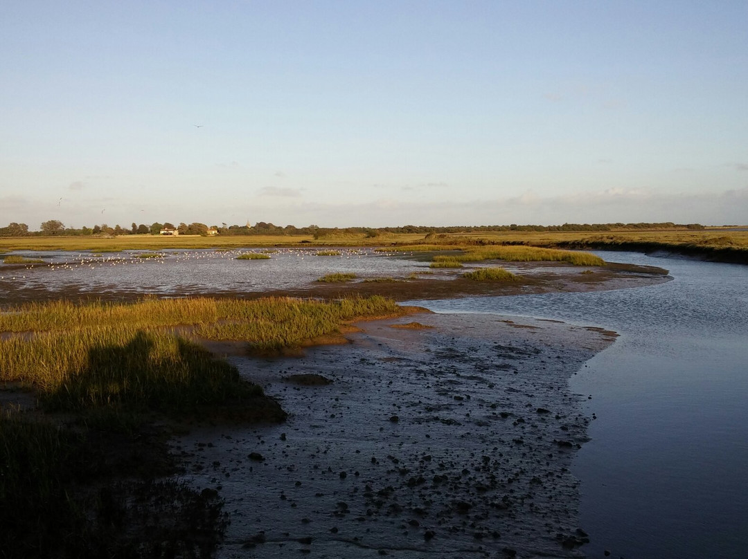 Pagham Harbour Local Nature Reserve景点图片