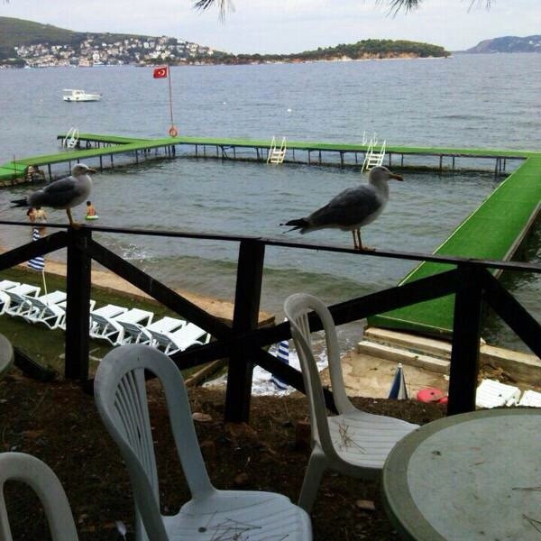 Asaf Bey Beach-Adalar必去景点