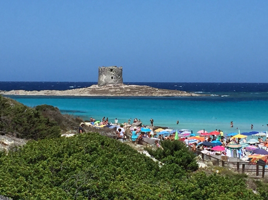 La Pelosa Beach-斯廷蒂诺必去景点