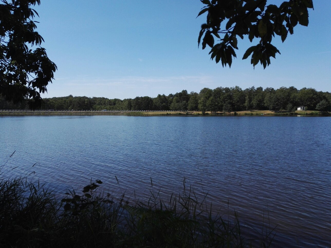 Lac du Coiroux景点图片