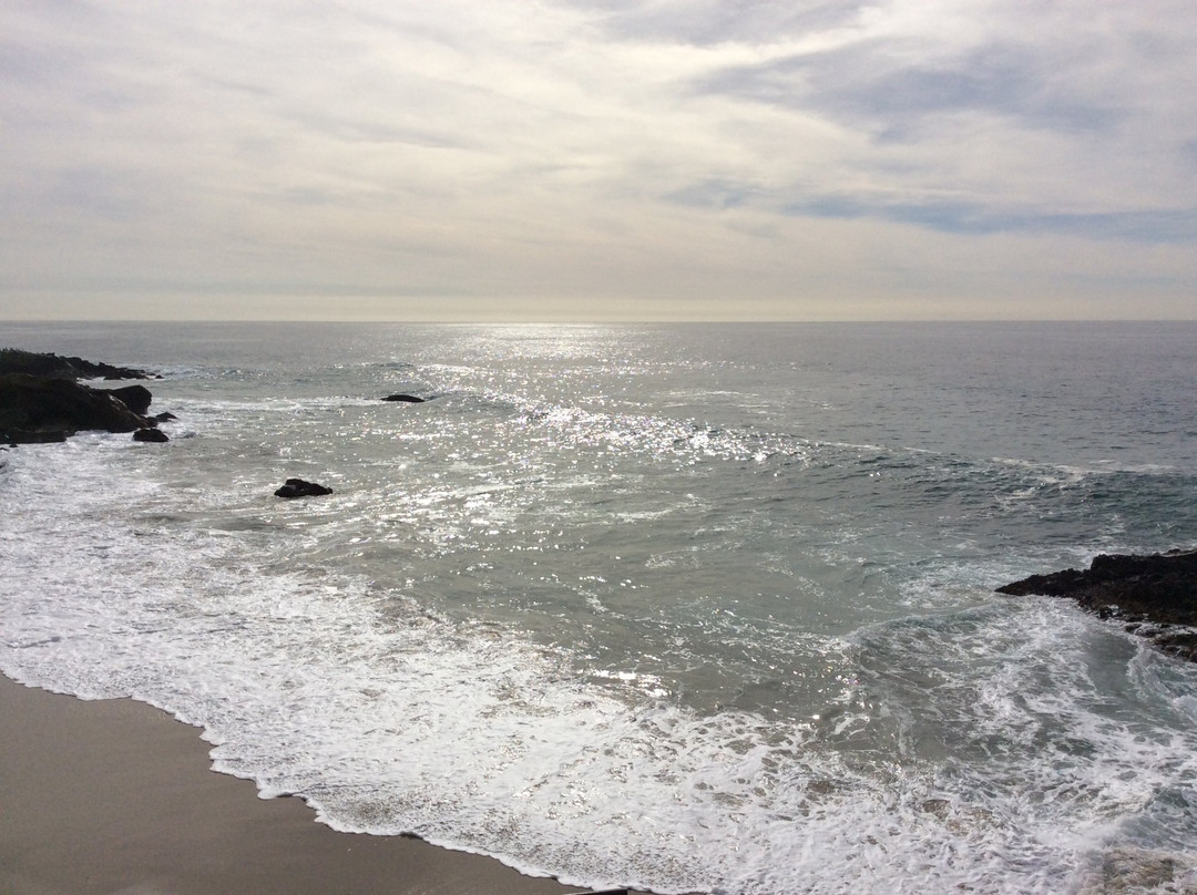 Glenn E. Vedder Ecological Reserve - Underwater Park and Tidepools-拉古纳海滩必去景点