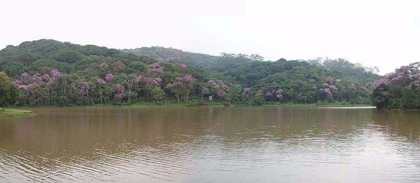 Parque Natural do Pedroso景点图片