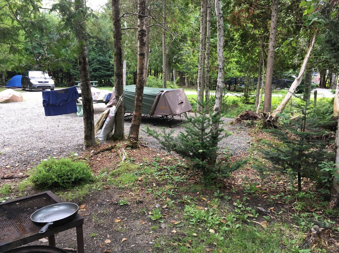 Ponderosa Pines Campground