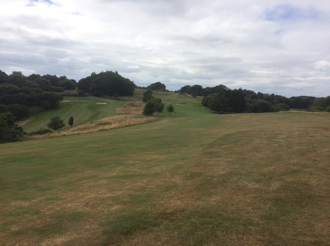 Sene Valley Golf Club-福克斯通必去景点