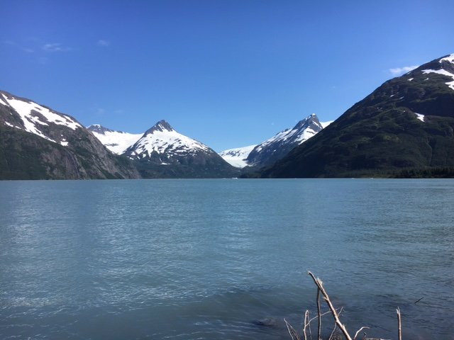Begich Boggs Visitor Center景点图片