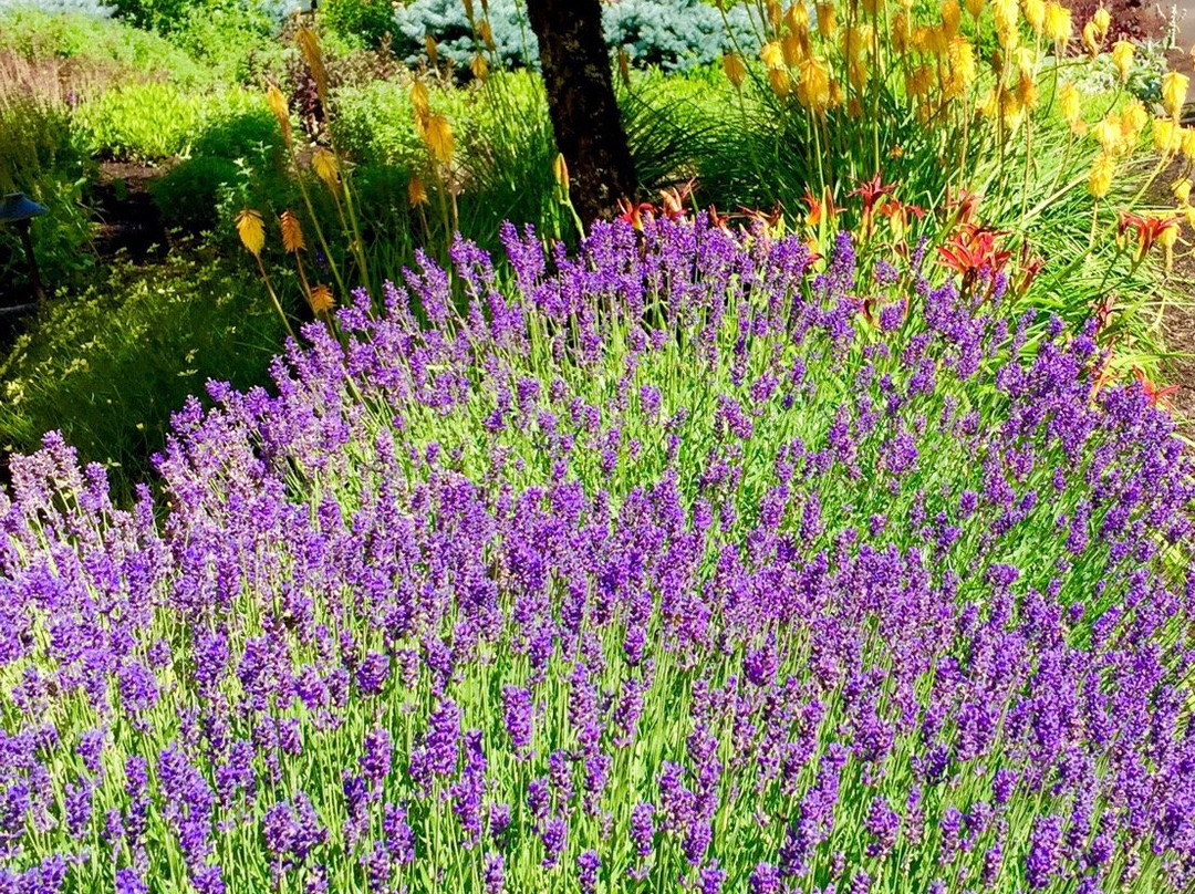 Red Ridge Farms-Dayton必去景点