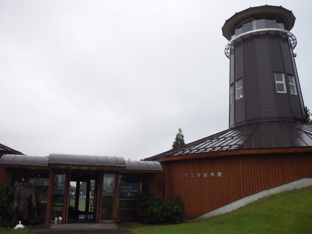 Sugisawa no Sawasugi-入善町必去景点