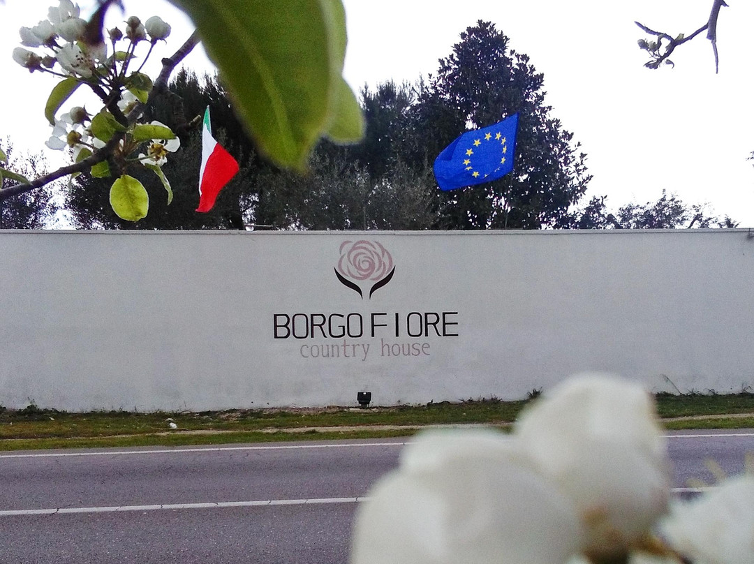 Borgo Fiore Country House主图