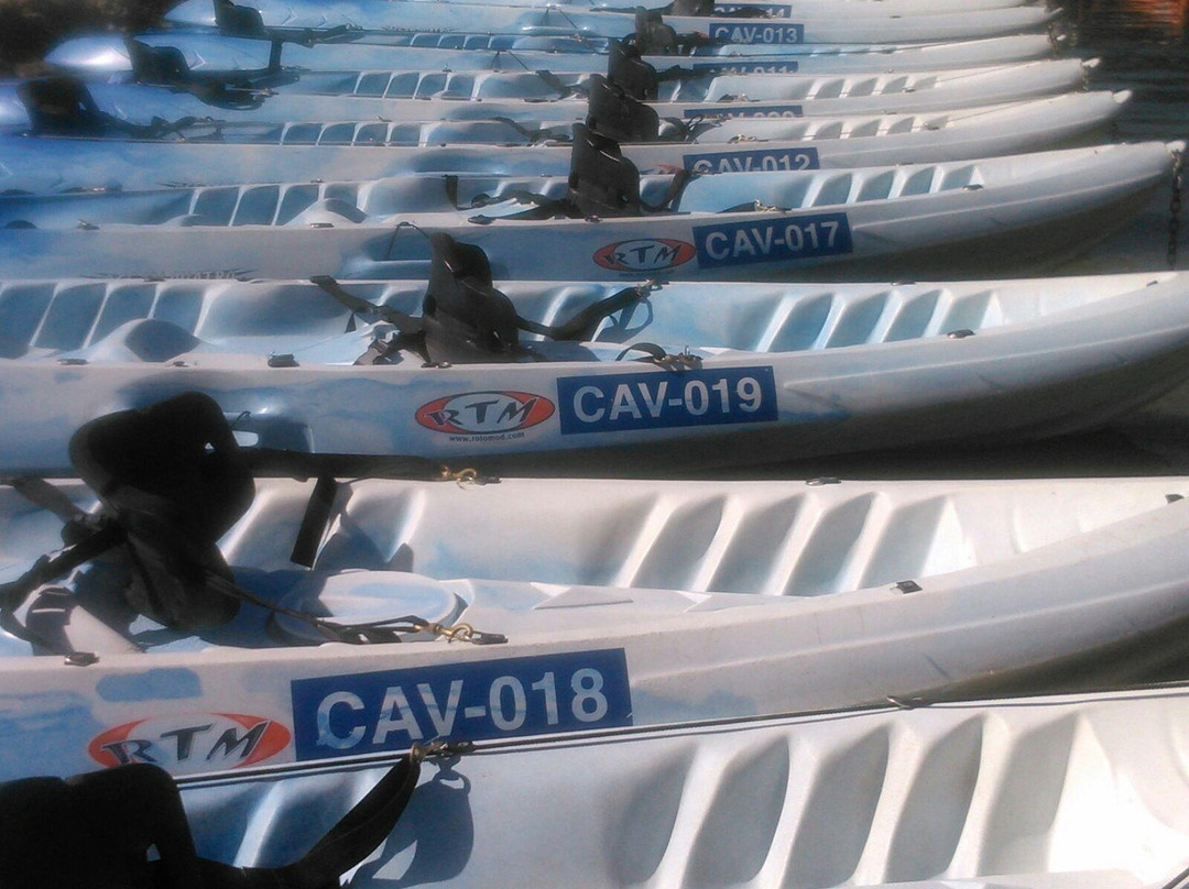 Kayak K1景点图片