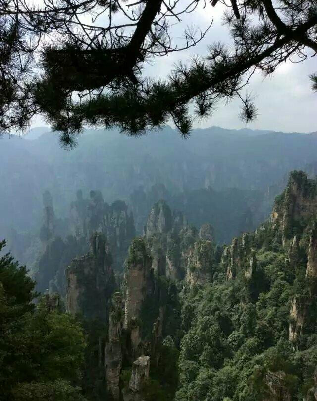 乌龙寨-张家界市必去景点