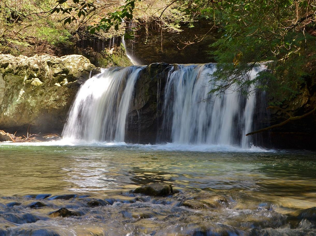 Tracy City旅游攻略图片