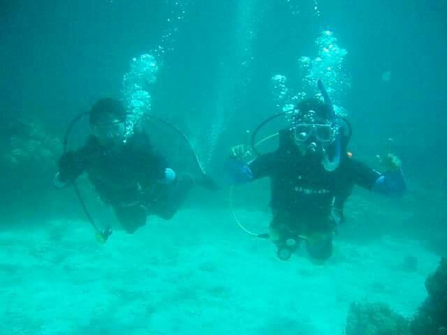 South Shore Divers-达沃必去景点