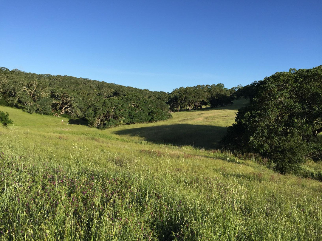 Sonoma Valley Regional Park景点图片
