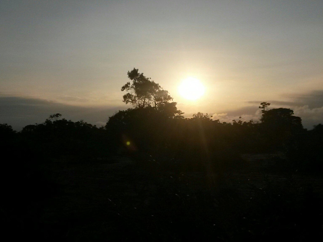 Nacional Park of Restinga de Jurubatiba景点图片