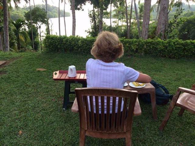 Mirissa Eco Lagoon Safari-美蕊沙必去景点