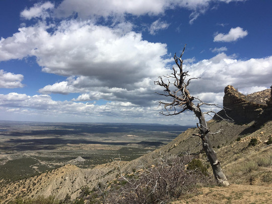 Knife Edge Trail-梅萨维德国家公园必去景点