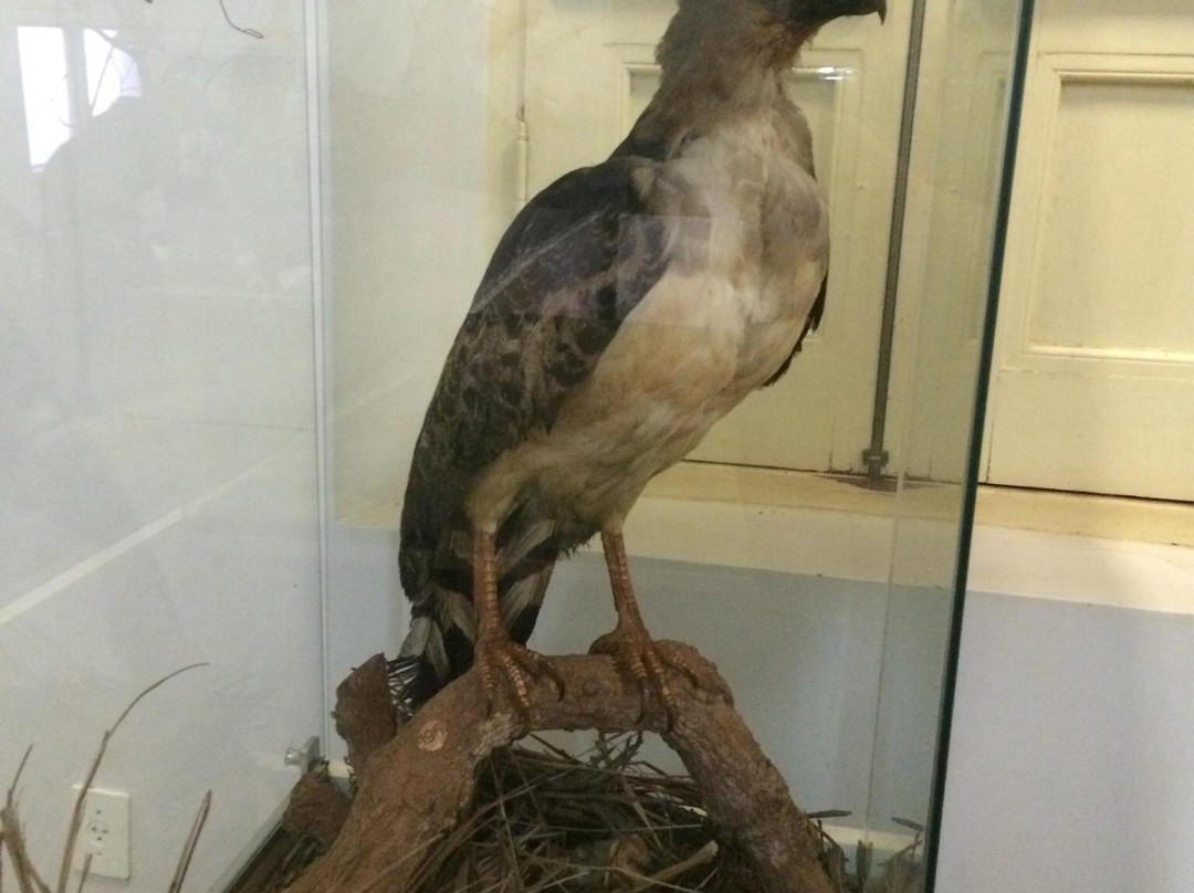 Sete Quedas Museum-Guaira必去景点