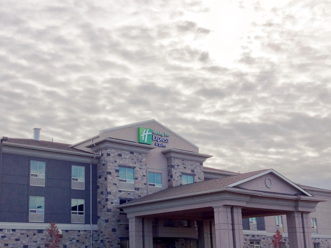 Neebing酒店住宿-Holiday Inn Express & Suites Thunder Bay By IHG