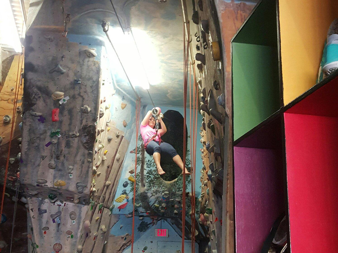 Albany Indoor Rockgym-奥尔巴尼必去景点