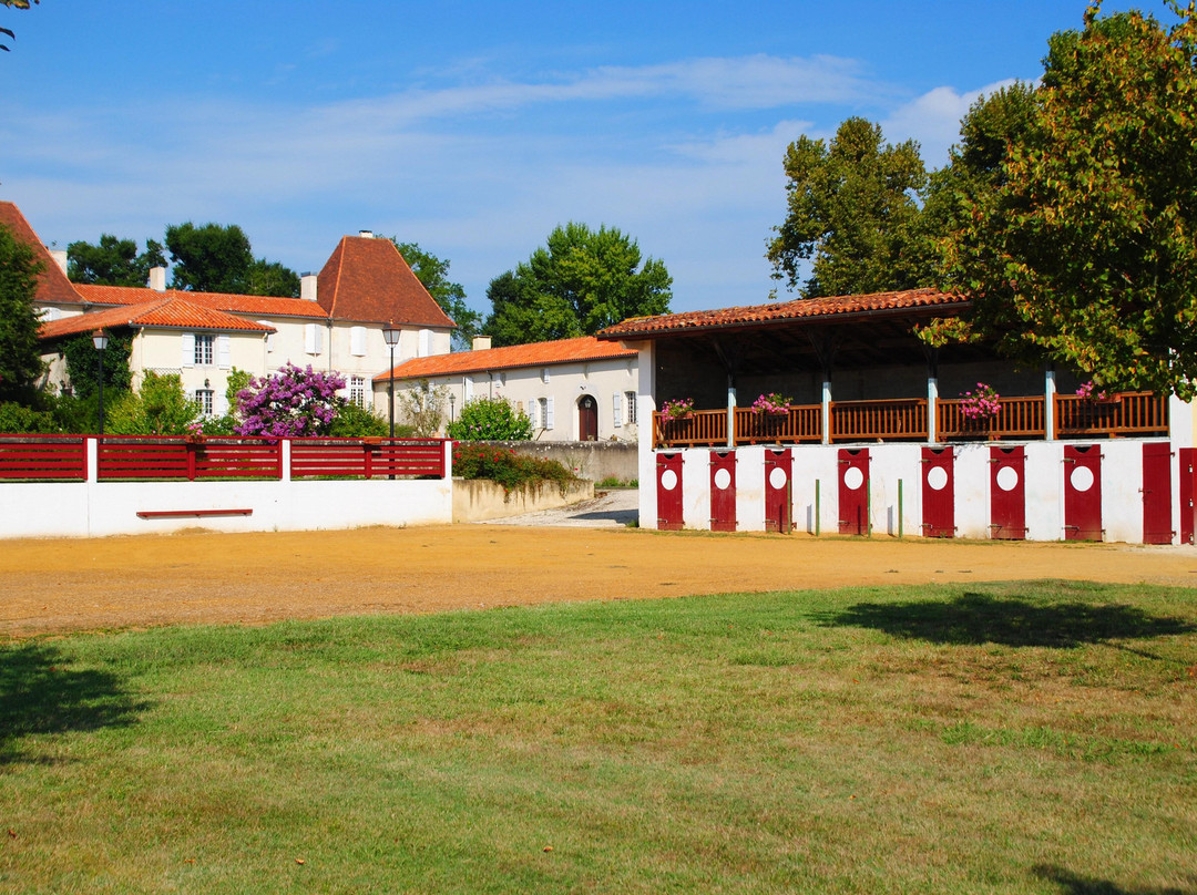 Office de Tourisme Terres de Chalosse景点图片