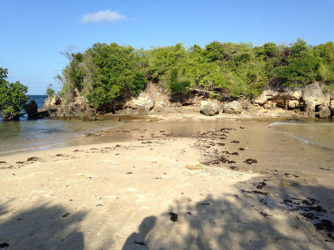 Pemba Flying Fox Forest-Wete必去景点