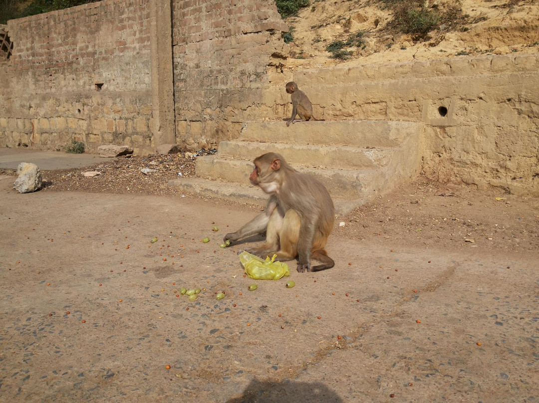 Sphatik Shila-Chitrakoot Dham必去景点