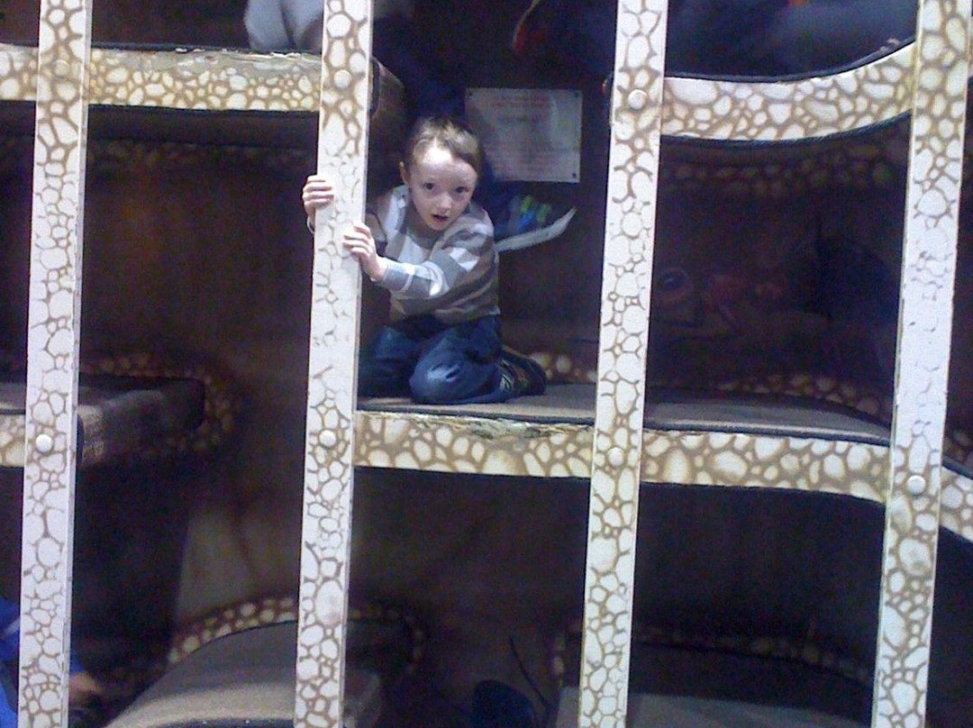 Muncie Children's Museum景点图片