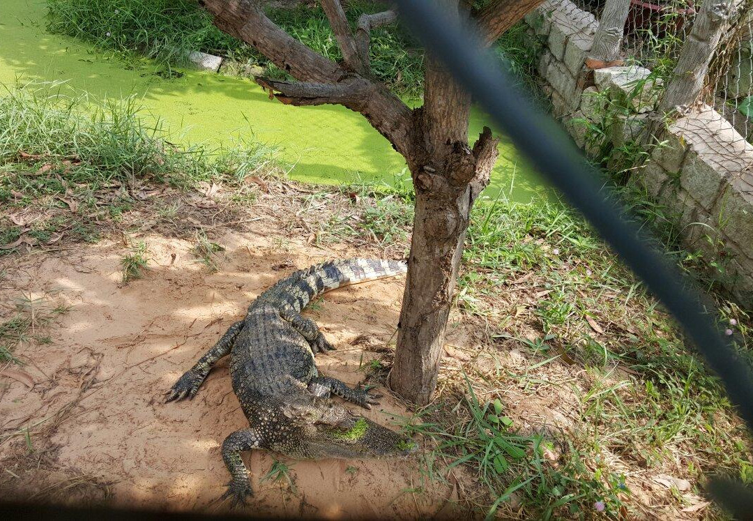 Vita Garden Mini-Zoo-藩切市必去景点