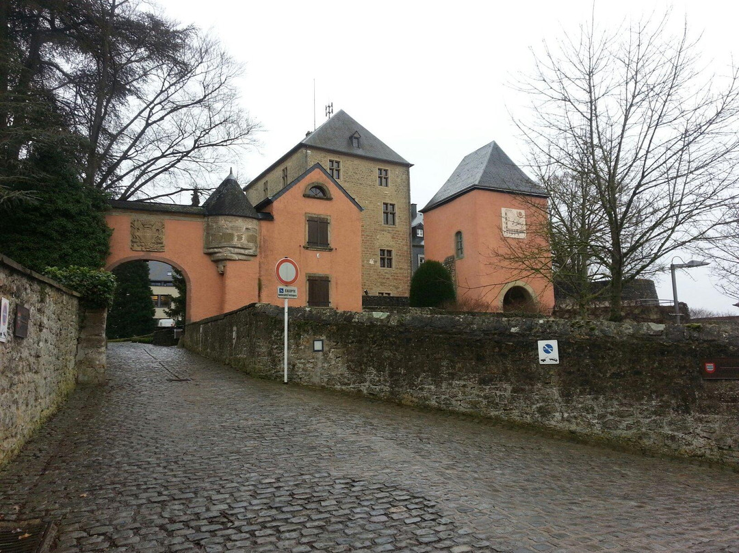 Mersch Castle景点图片