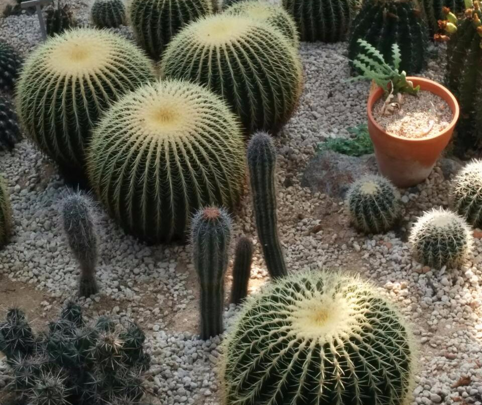 Hantaek Botanical Garden-龙仁市必去景点