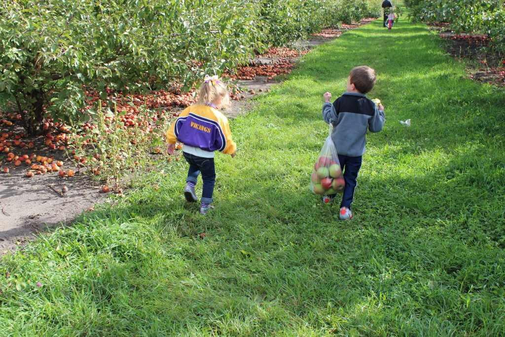 Minnesota Harvest-Jordan必去景点