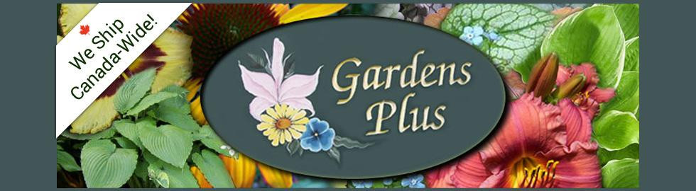 Gardens Plus-彼得伯勒必去景点