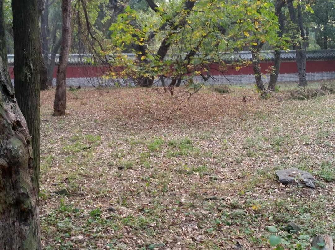 梁公林-曲阜市必去景点