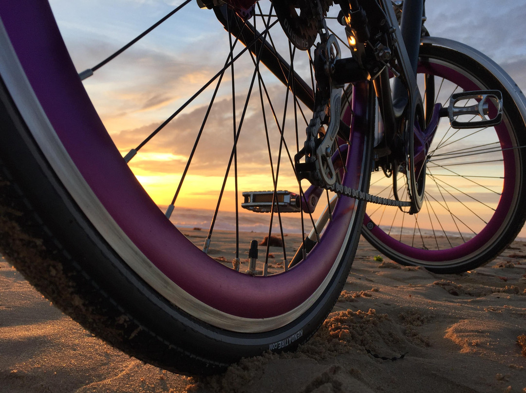 Les Cycles N景点图片