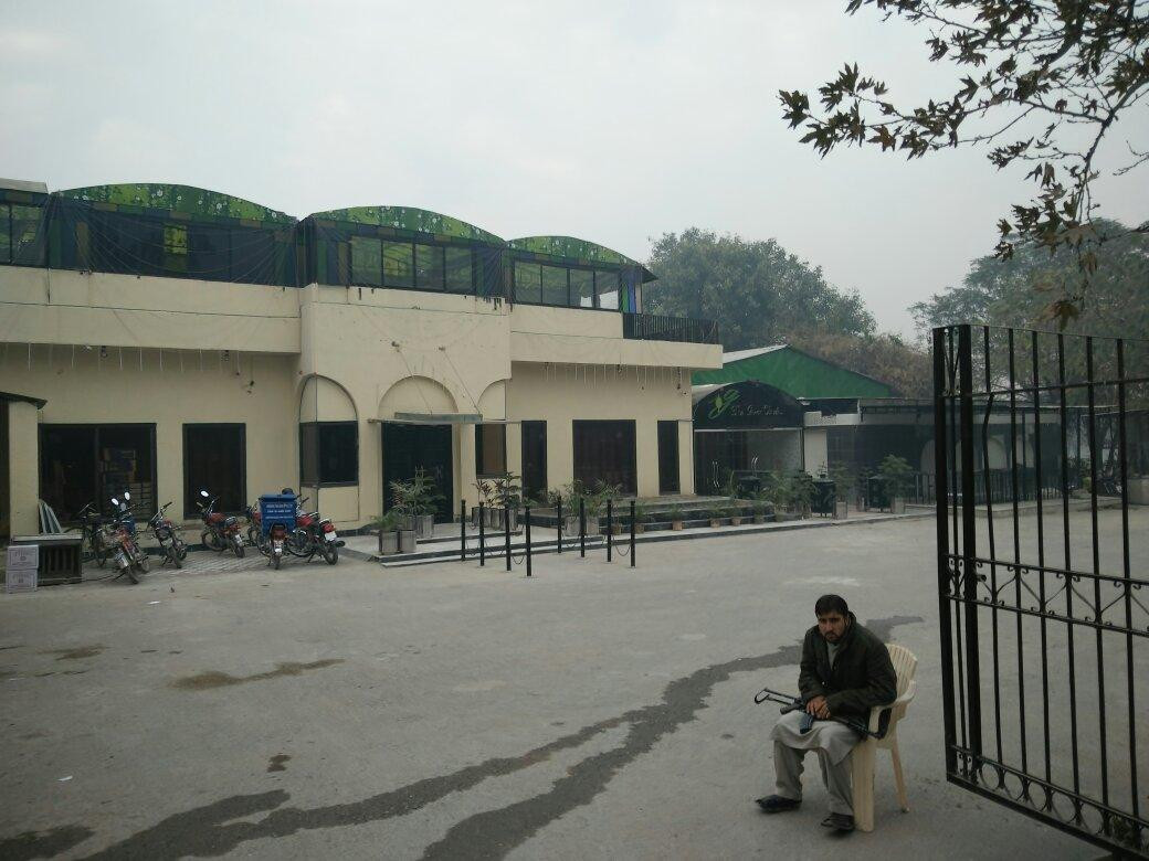 Mardan餐馆和美食-The Green Olive's