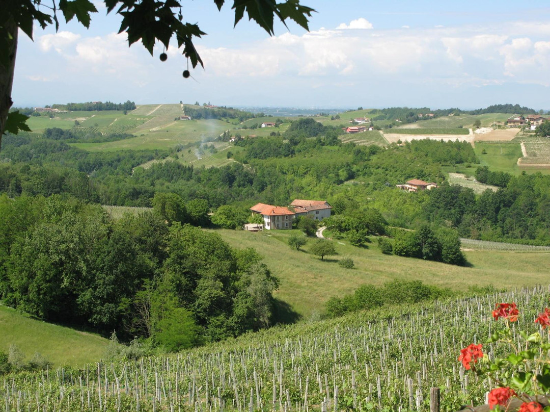 Azienda Agricola Osvaldo Barberis景点图片