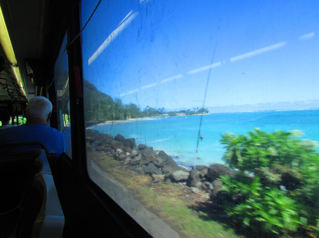 Swanzy Beach Park-卡阿瓦必去景点