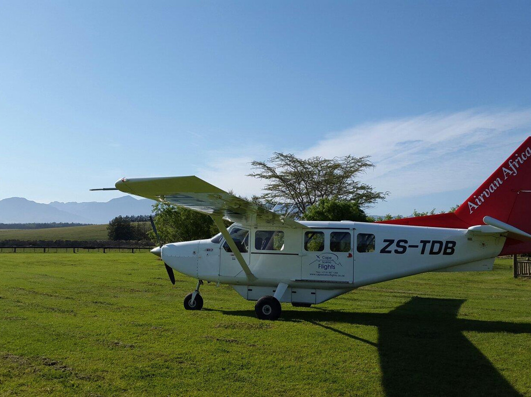 Cape Scenic Flights-开普敦必去景点