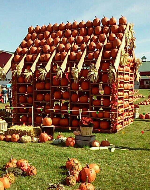 Stade's Farm and Market-McHenry必去景点