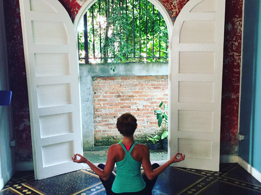 Downtown Yoga - Single Day Classes景点图片
