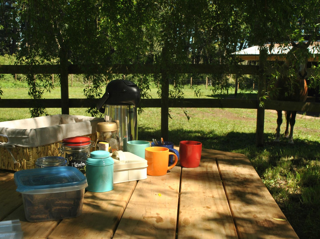 Corral del Sauce-维多利亚必去景点