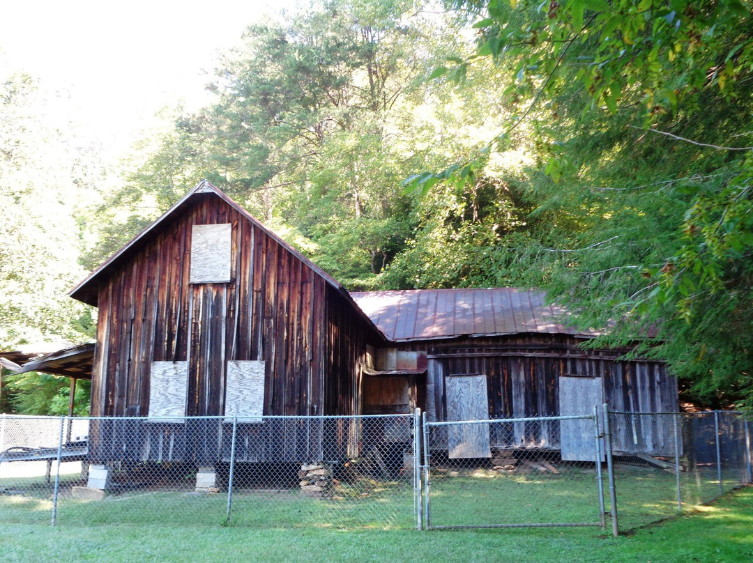 Yahoola Creek Park-达洛尼加必去景点