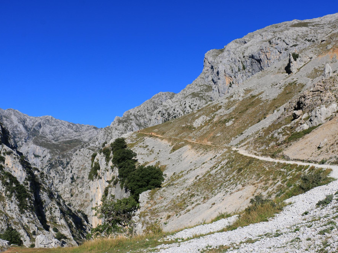 Parque Nacional Picos de Europa景点图片