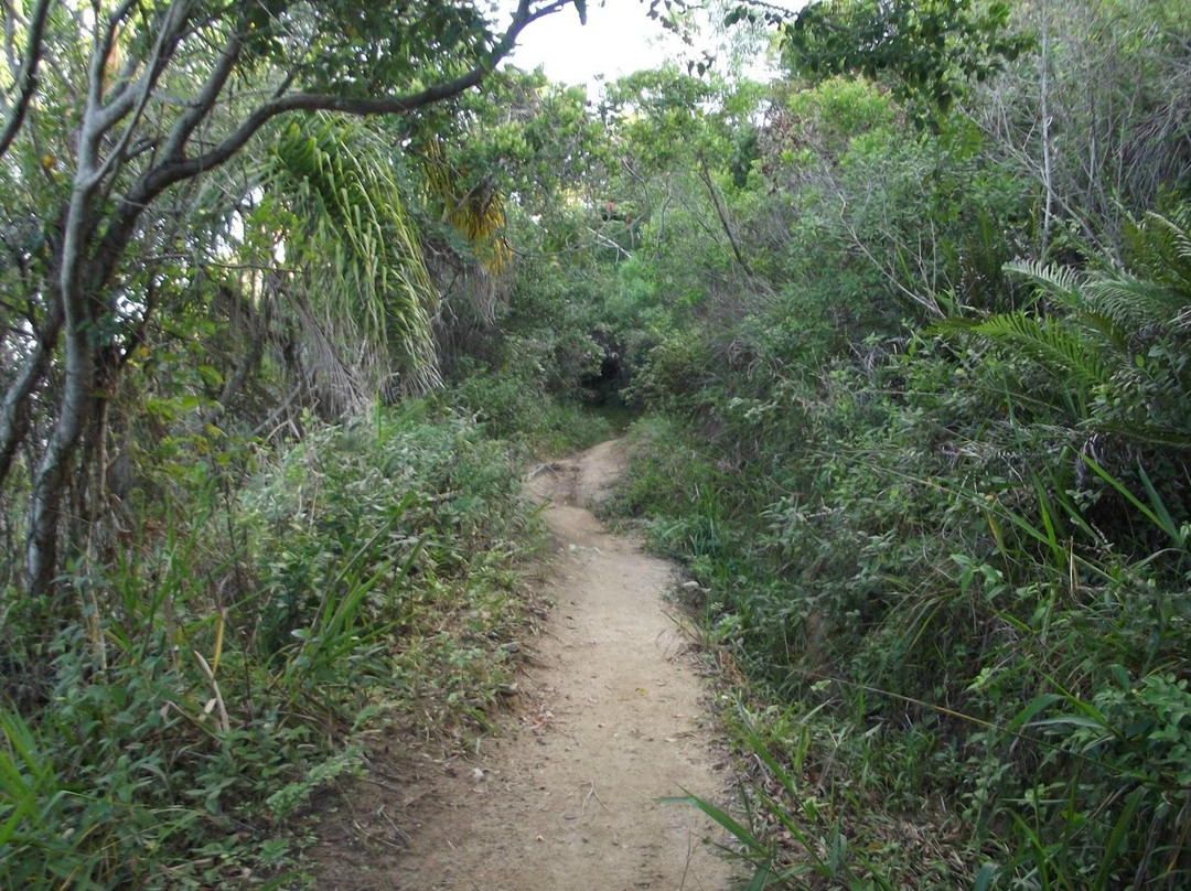 Cardoso Beach-Bombinhas必去景点