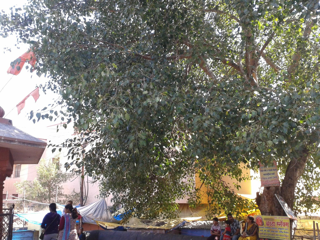 Moreshwer Ganesh Mandir Temple景点图片