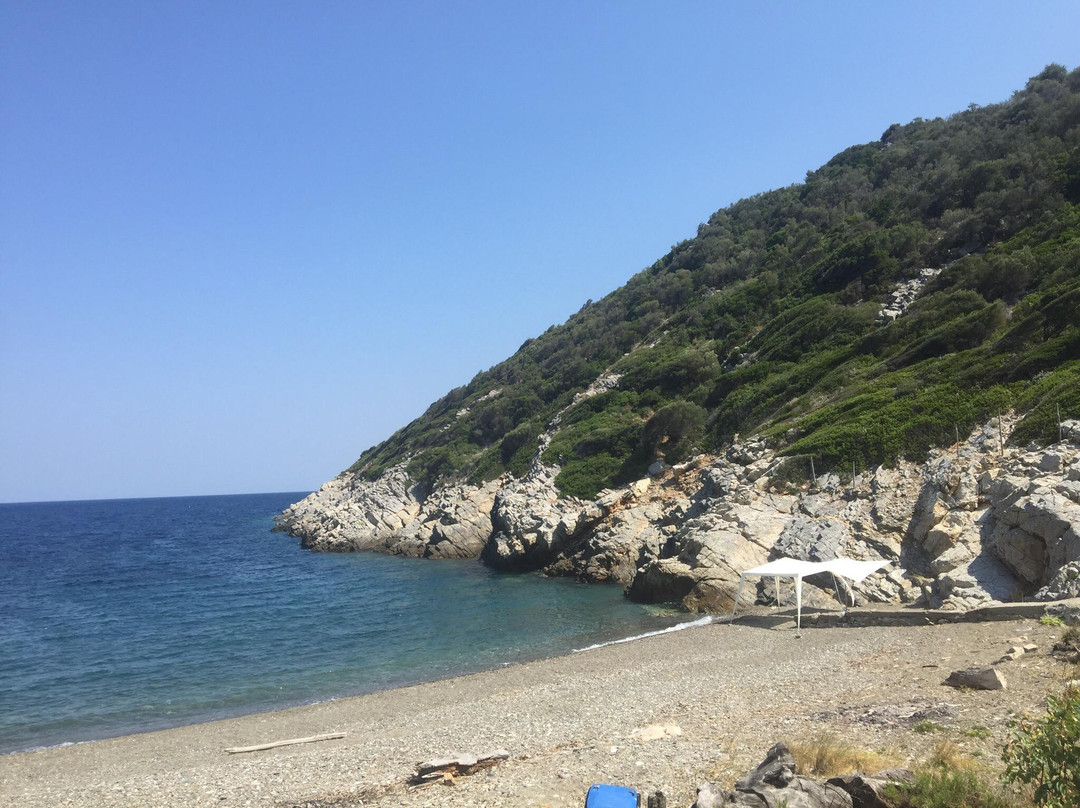 Vrisitsa beach景点图片