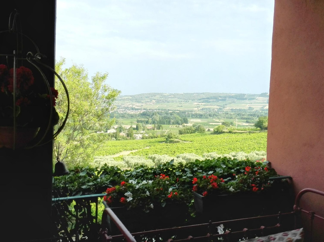 Chambres d'Hote L'Olivier主图