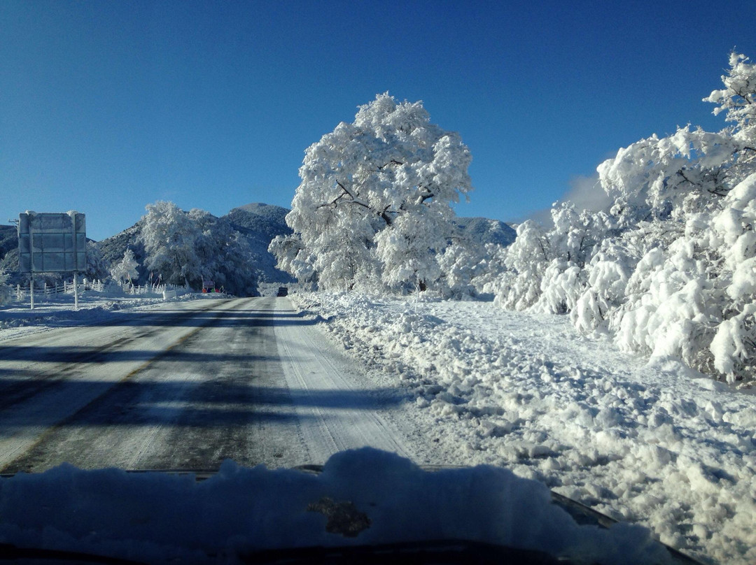Malalcahuello酒店住宿-Casaesquina