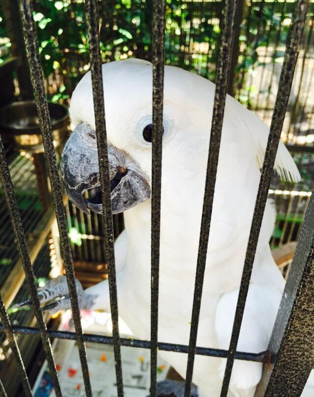 Horse Power for Kids & Animal Sanctuary-坦帕必去景点