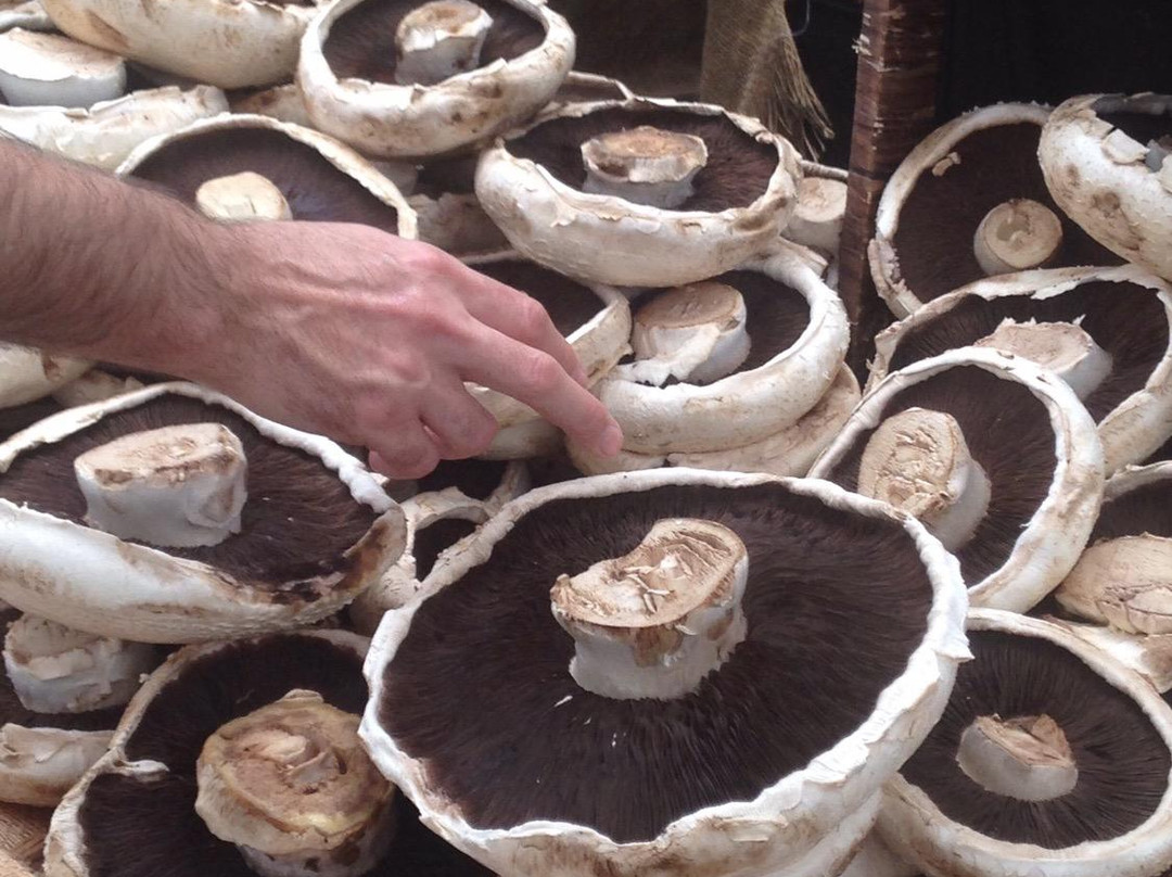 The Carseldine Farmers & Artisan Markets景点图片